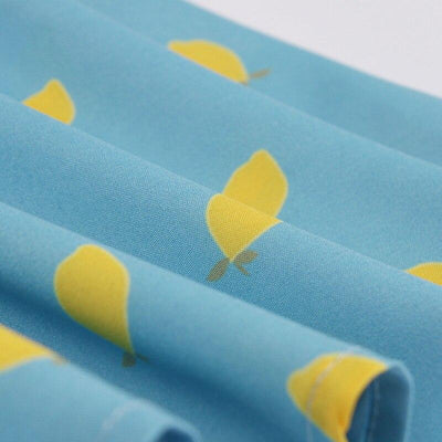 Rochie Vintage Cu Guler Din Dantela