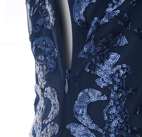 Rochie Vintage Albastră Anii 20