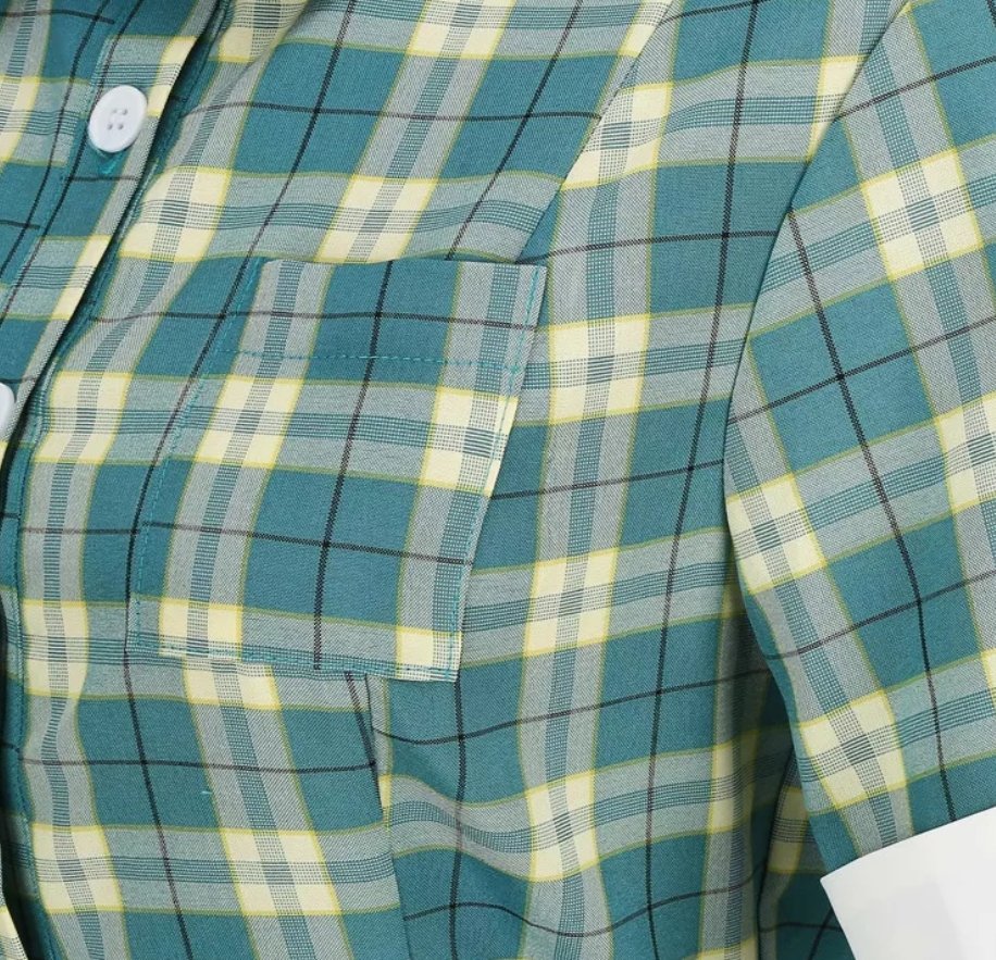 Rochie Vintage Verde Scotia