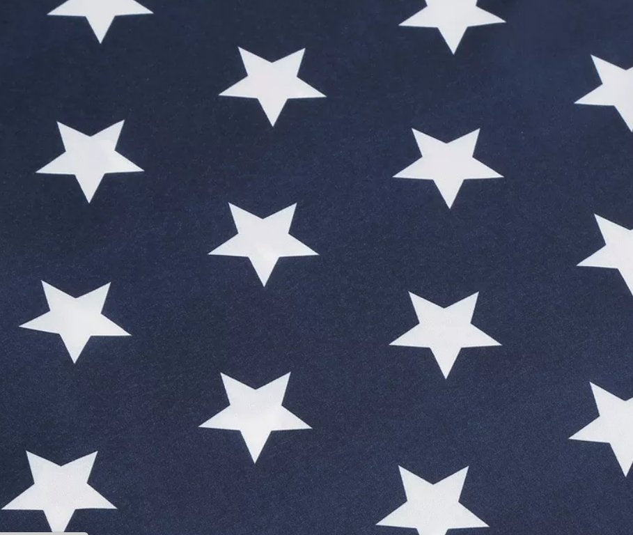 Rochie Pin Up Vintage Imprimată Sua