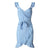 Rochie De Plajă Albastră De Epocă