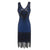 Rochie Vintage Ani 20 Plus Size Albastru